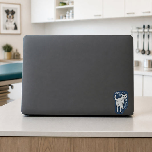 💊 Ball-Less And Flawless shown on a veterinary clinic laptop