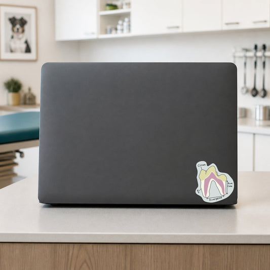 💀 Dog Tooth Diagram shown on a veterinary clinic laptop