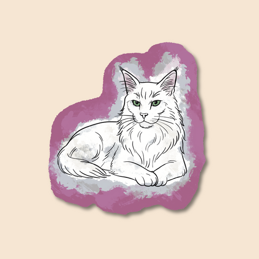 🐱 Majestic Cat – Maine Coon