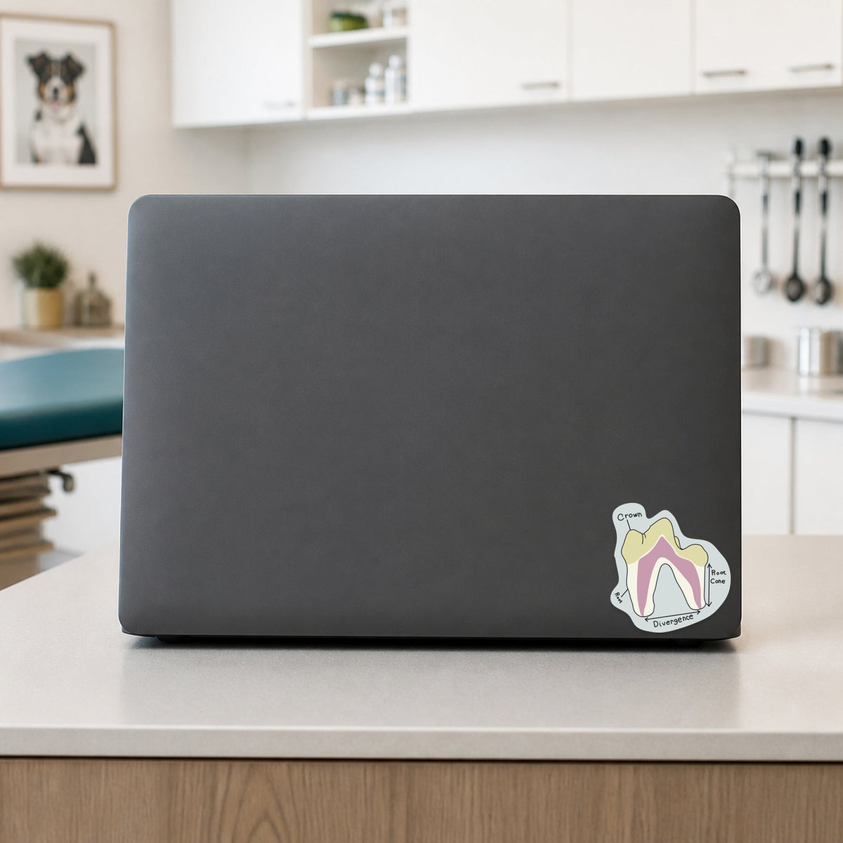 💀 Dog Tooth Diagram shown on a veterinary clinic laptop