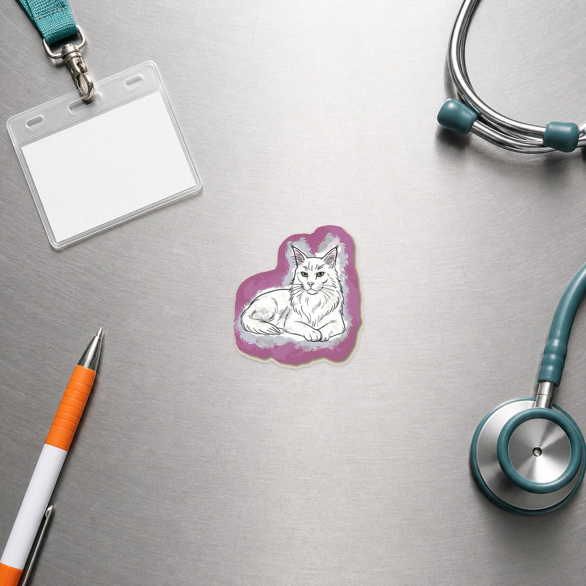 🐱 Majestic Cat – Maine Coon shown in a veterinary clinic flat lay