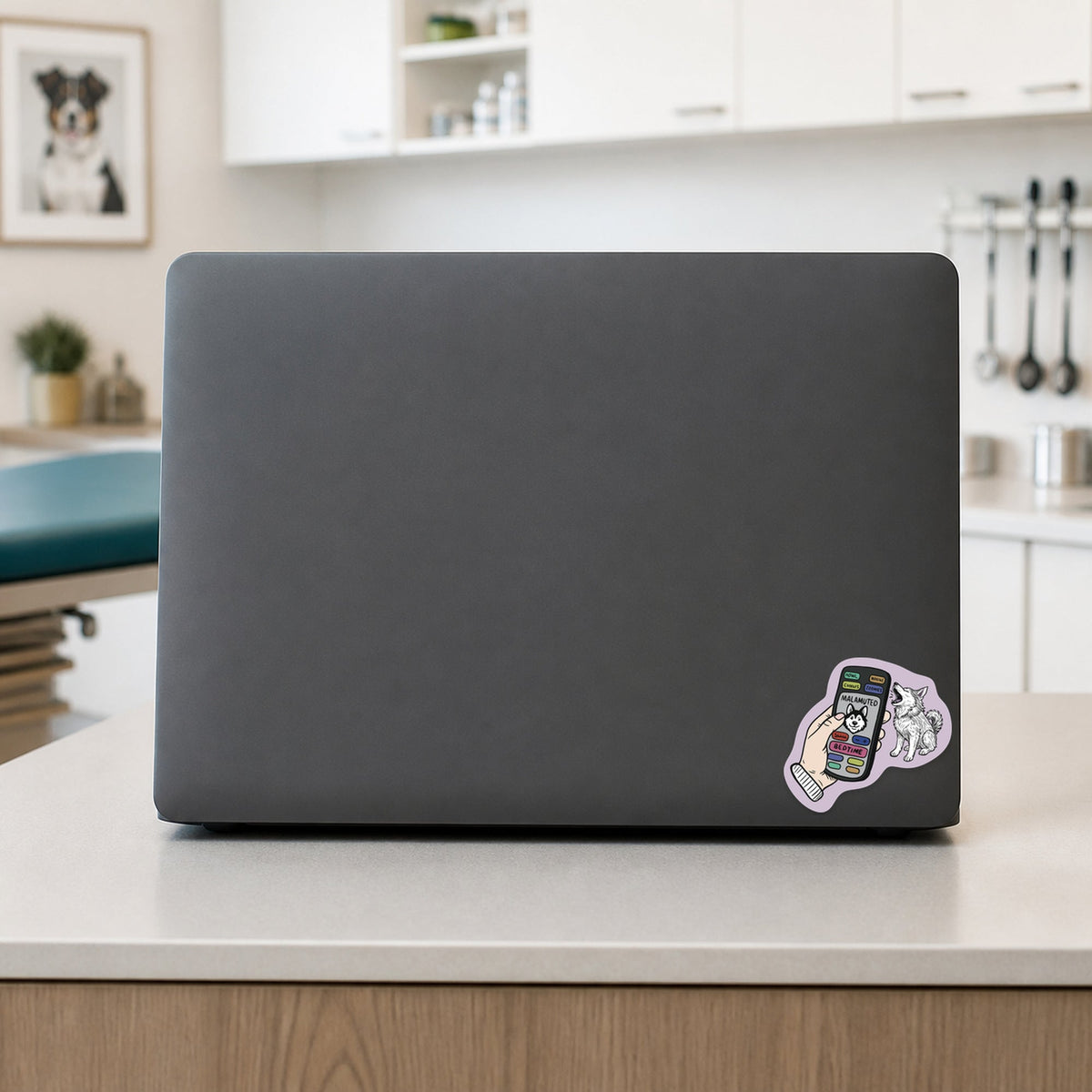 🎛️ Malamuted –  Remote shown on a veterinary clinic laptop