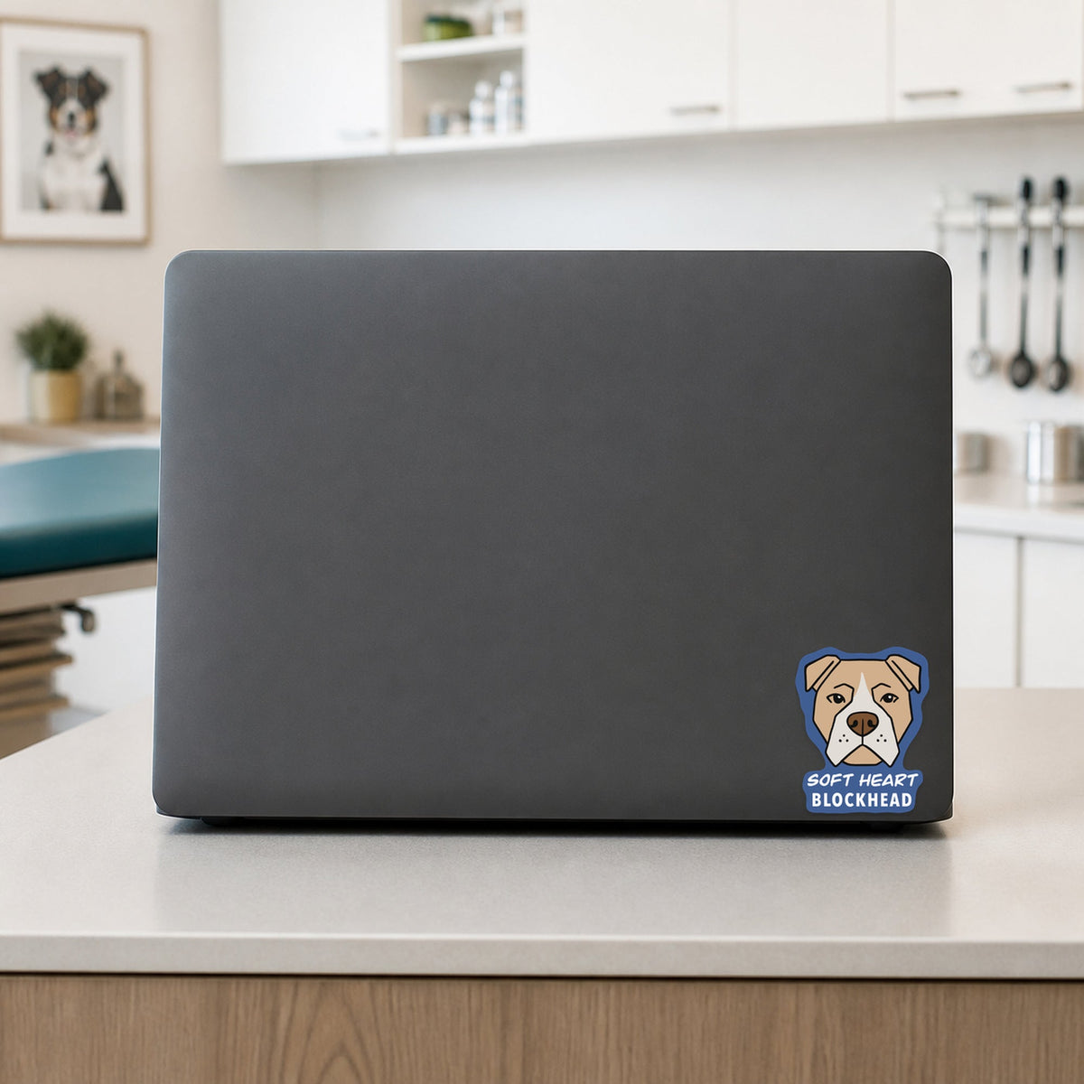 🐾 Soft Heart Blockhead - Pit Bull shown on a veterinary clinic laptop